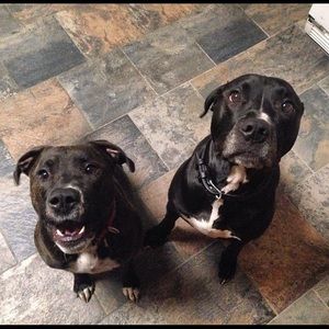 Meet your Posher, Jacki